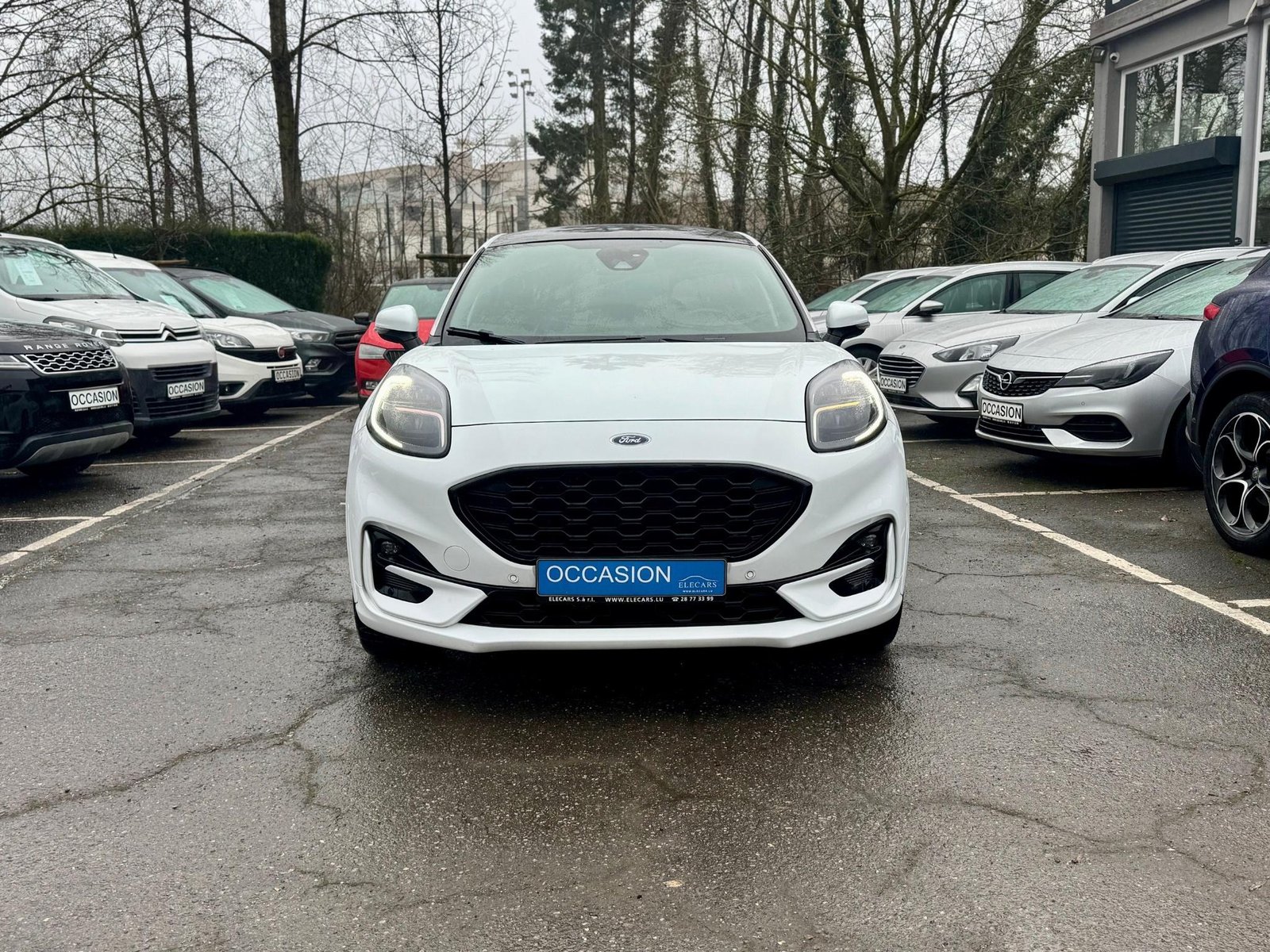 Ford Puma – Image 2