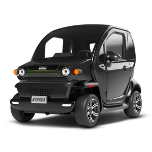 LUQI Ev300